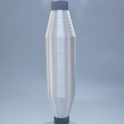 160D PA6 Nylon Mono Yarn untuk High Strength Weaving Shoes Upper